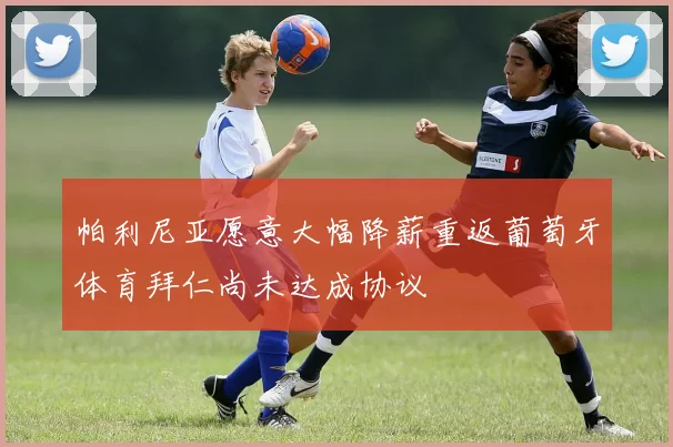帕利尼亚愿意大幅降薪重返葡萄牙体育拜仁尚未达成协议