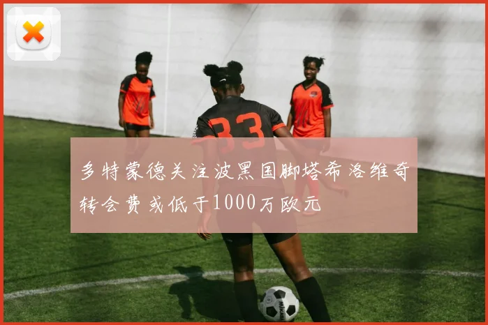 多特蒙德关注波黑国脚塔希洛维奇转会费或低于1000万欧元