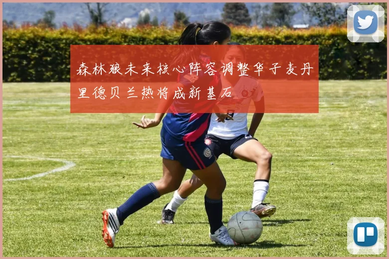 森林狼未来核心阵容调整华子麦丹里德贝兰热将成新基石