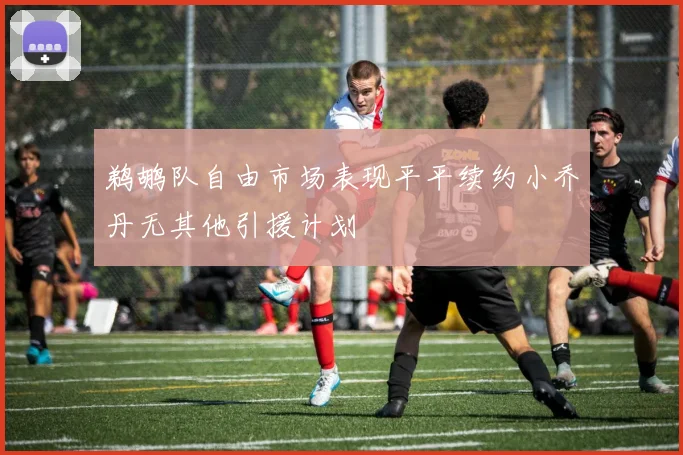 鹈鹕队自由市场表现平平续约小乔丹无其他引援计划